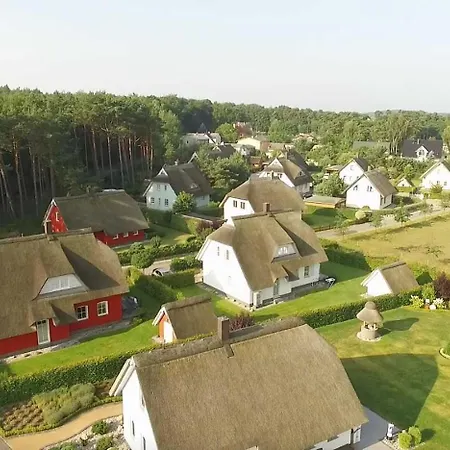 Fh Strandmuschel * לודין