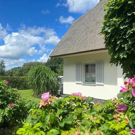 Nyaraló Ferienhaus Strandmuschel Mit Sauna *